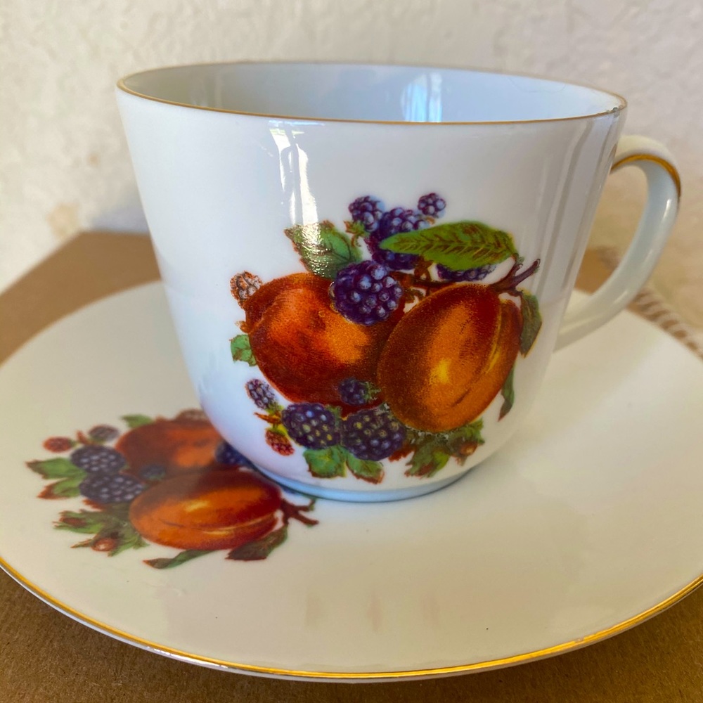 Tea Cup & Saucer. Fruit Pattern Gold Trim German;y